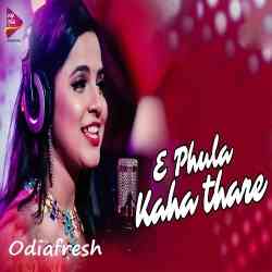 E Phula Kaha Thare-Asima Panda